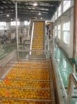IMPIANTI DI LAVORAZIONE AGRUMI 5